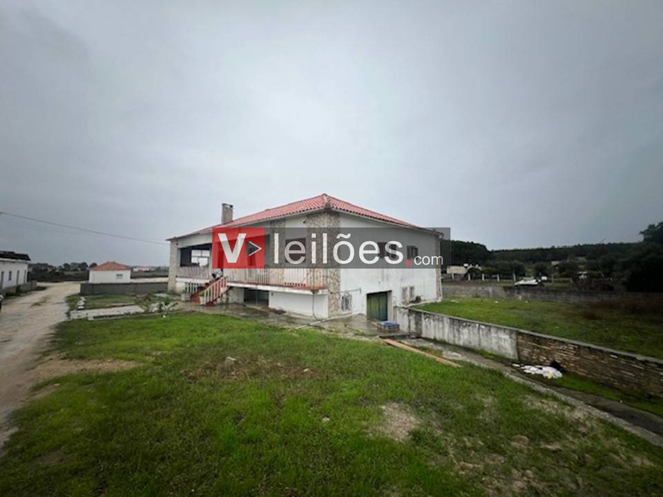 Lote 1 Lote 1